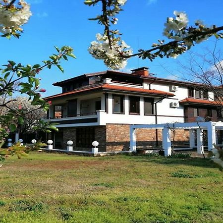 Къща За Гости "Мечта" Lyutibrod Exteriér fotografie