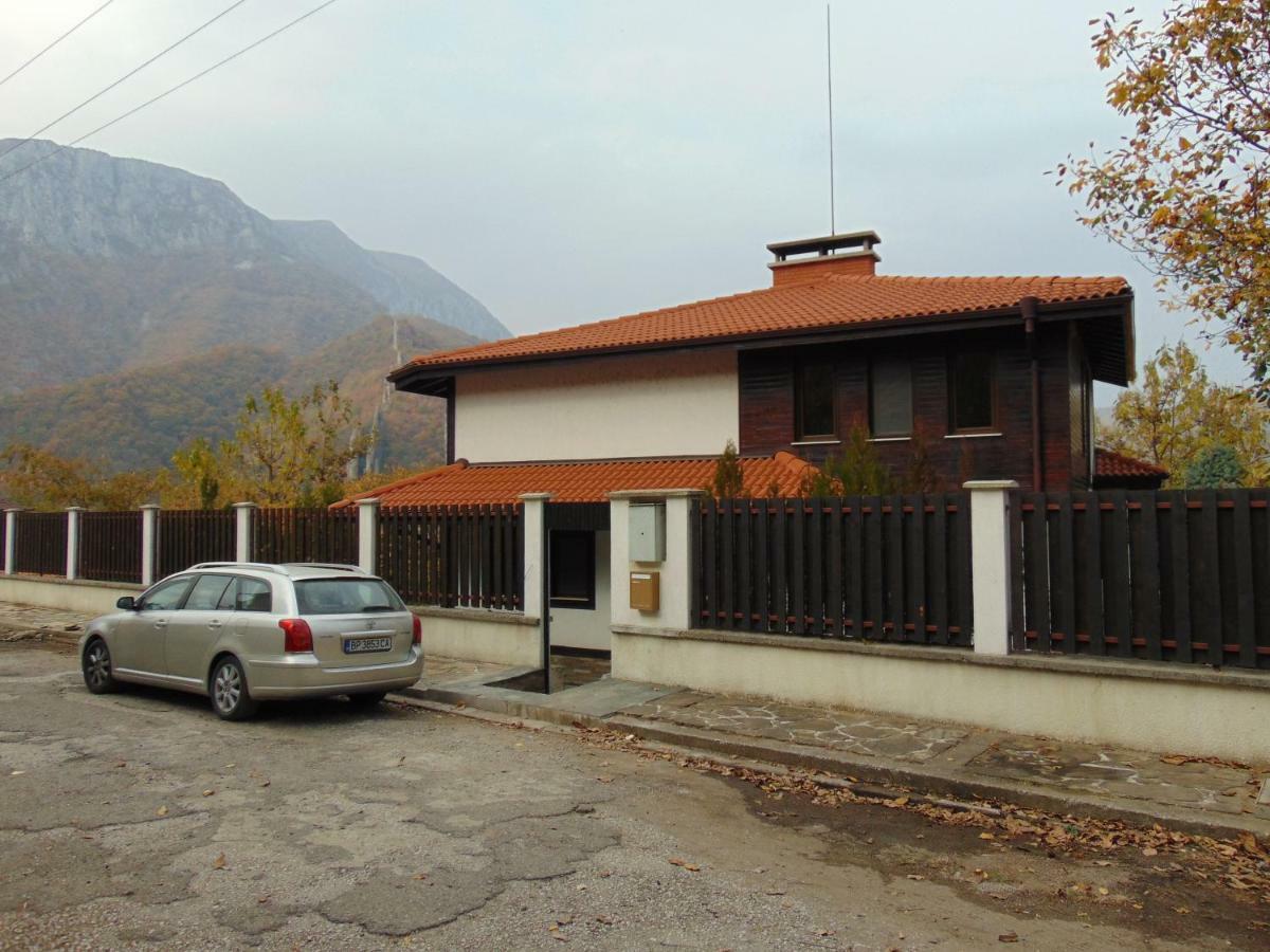 Къща За Гости "Мечта" Lyutibrod Exteriér fotografie